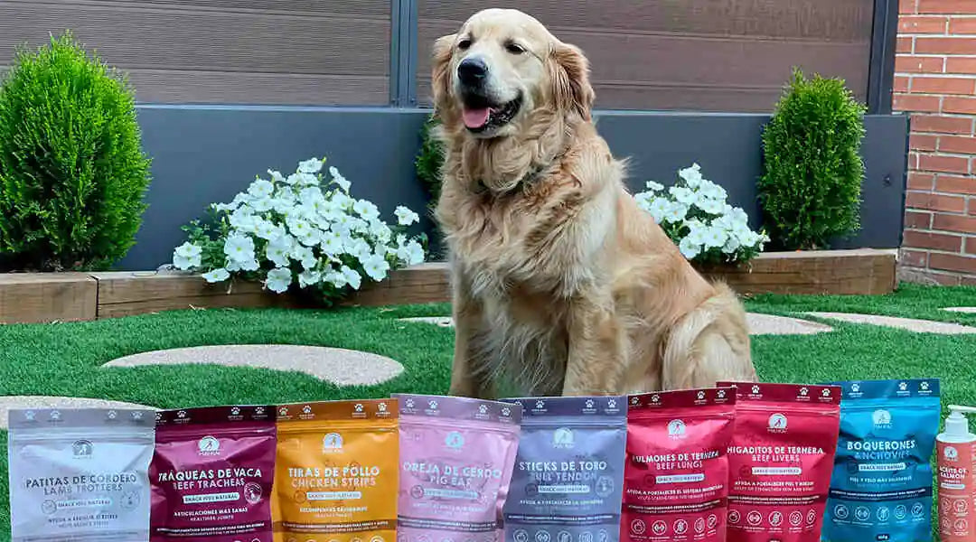 Snacks naturales deshidratados: la opción más saludable para mascotas