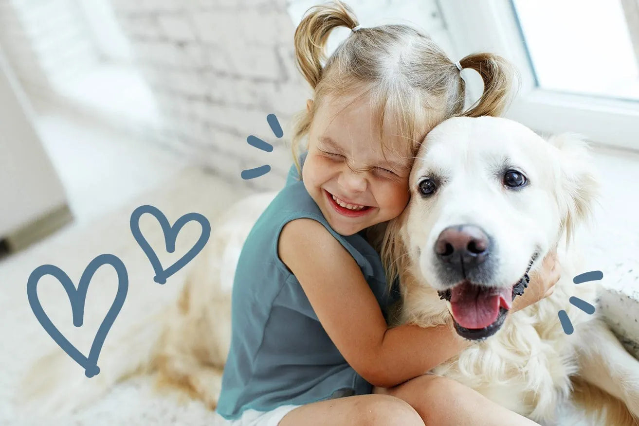 Mi hijo tiene miedo a los perros, ¿Qué puedo hacer?