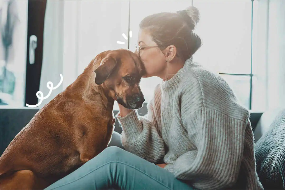 ¿Por qué tiembla mi perro?