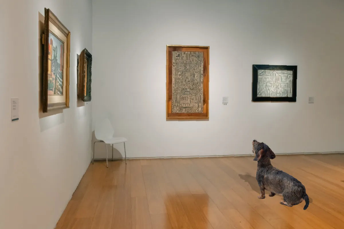 Museos Pet-Friendly en España
