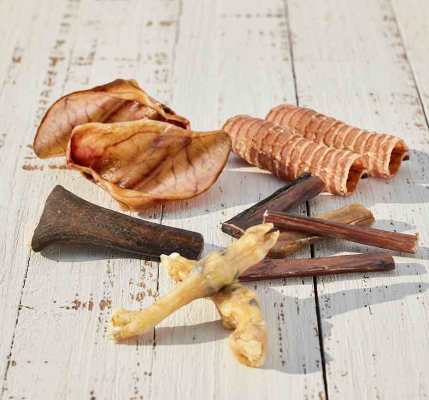 Beneficios de las cajas regalo de Maikai Pets con chuches naturales y aceite de salmón, mostrando cómo aportan salud, diversión y nutrición a perros y gatos.