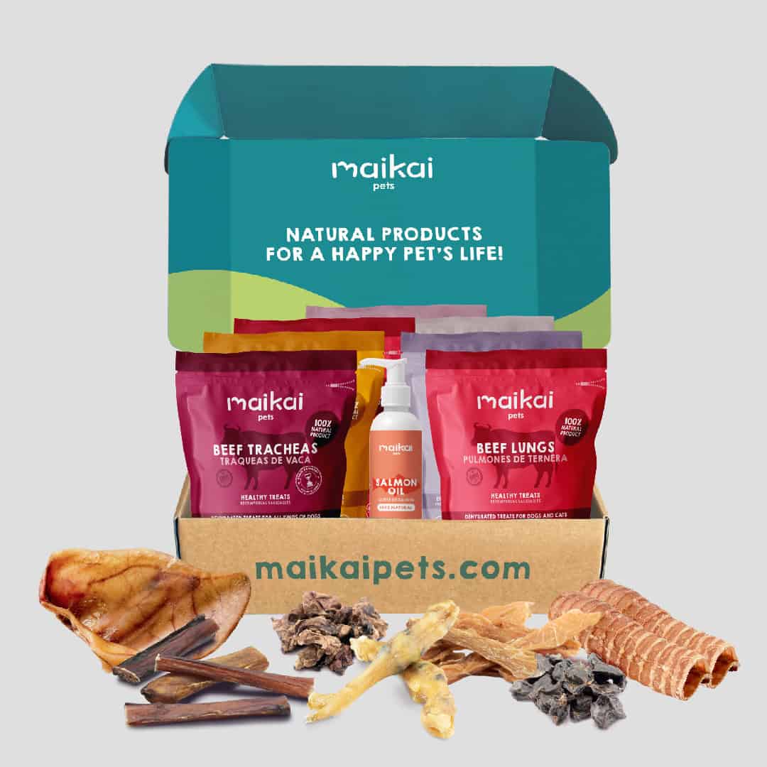 Caja de chuches naturales para perros – selección de premios saludables y nutritivos para mascotas felices