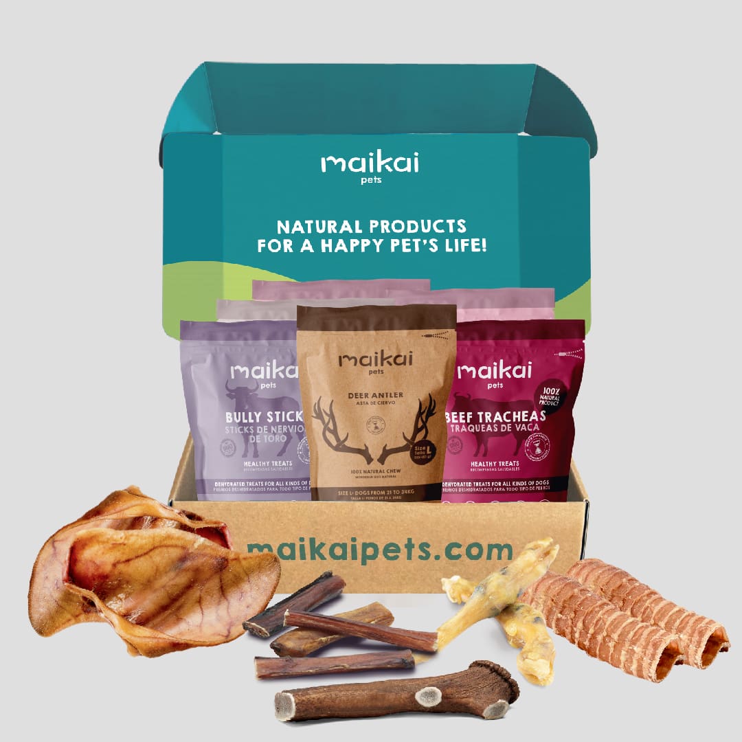 Caja de mordedores naturales para perros – juguetes saludables que fortalecen la dentadura y entretienen a tu mascota