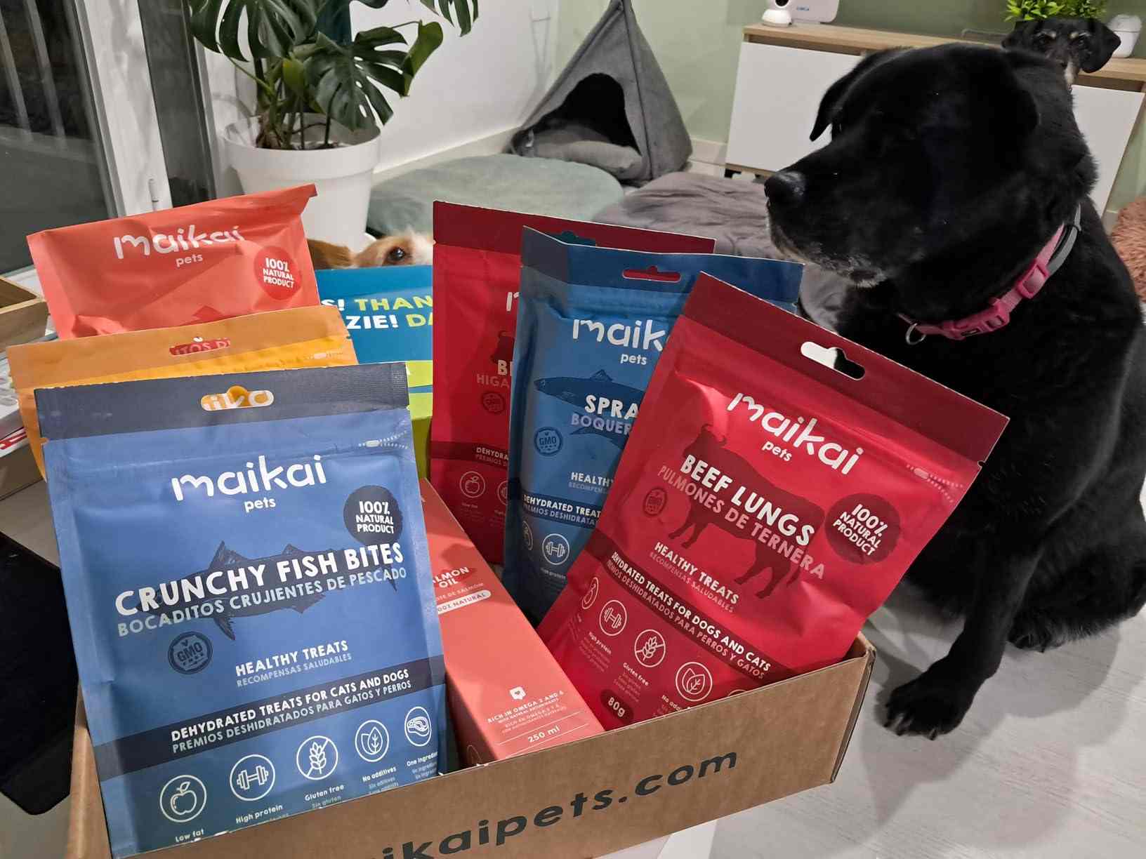 Caja de regalo de Maikai Pets con chuches naturales para perros y gatos, ideal para premiar y consentir a tu mascota de manera saludable.