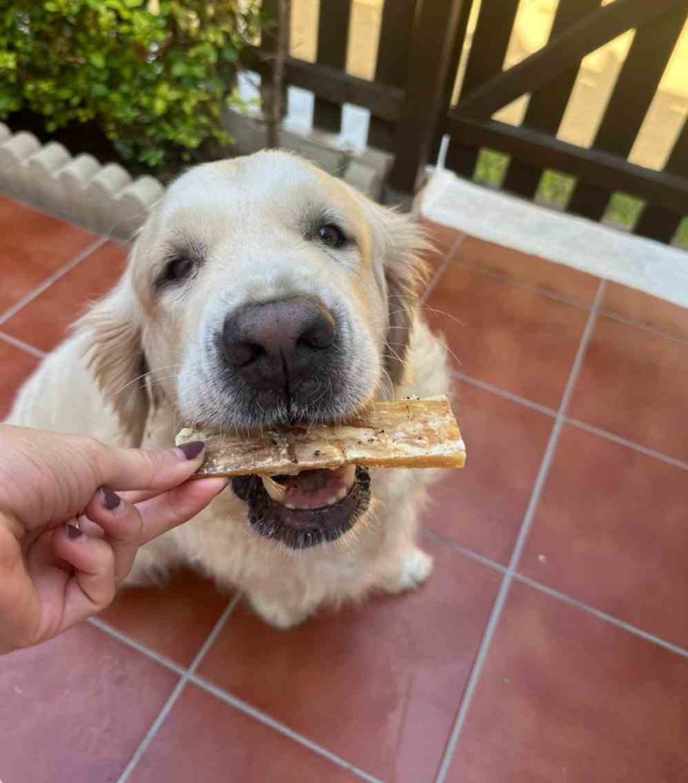 Chuches natural de tendones de ternera para perros de Maikai Pets, ideal para masticar, cuidar la salud dental y ofrecer una recompensa nutritiva y duradera.
