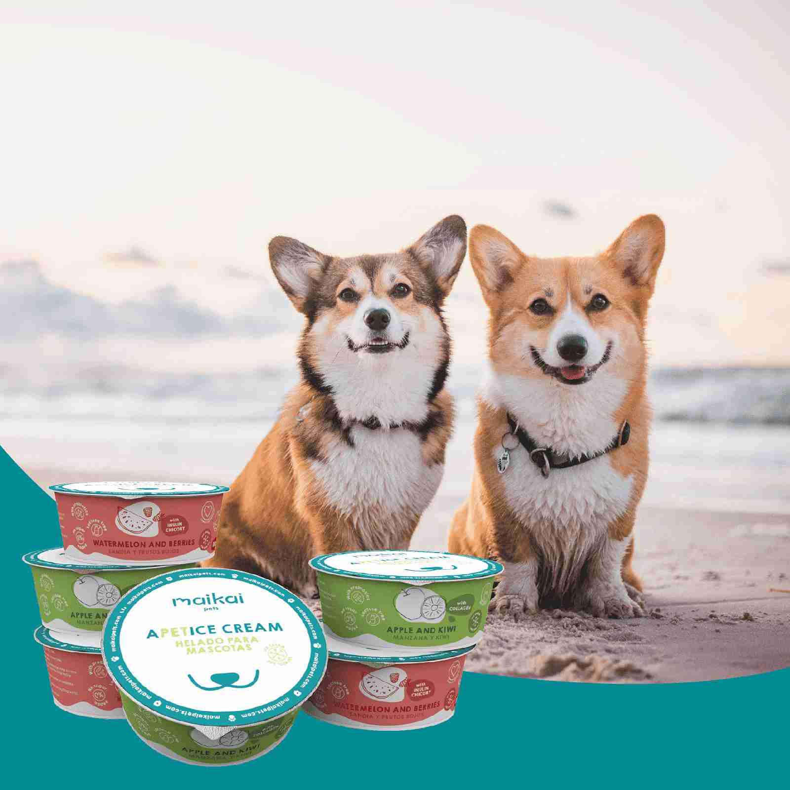 Helado con inulina de achicoria para perros y gatos – snack natural que favorece la digestión y el bienestar de tus mascotas