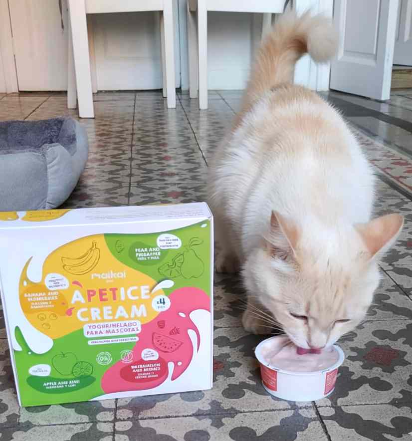 Gato disfrutando de un helado natural funcional sin lactosa de Maikai Pets, un snack refrescante y saludable que aporta nutrientes y sabor sin dañar su digestión.