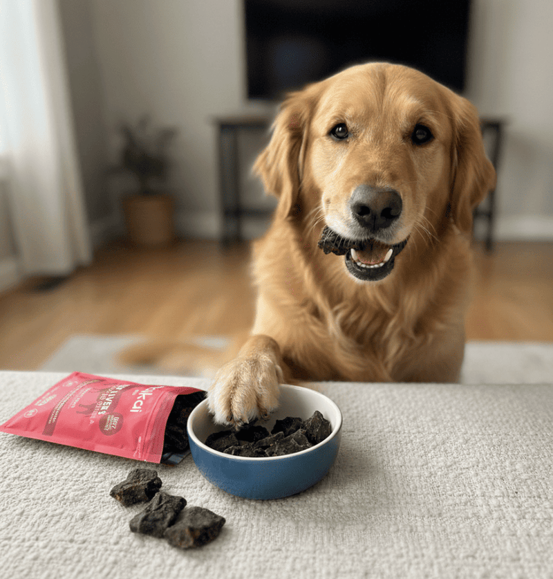 Mascota con vitaminas