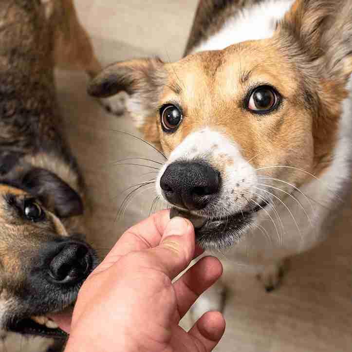 Hígados de ternera deshidratados para perros, snack natural rico en proteínas que apoya la salud y energía