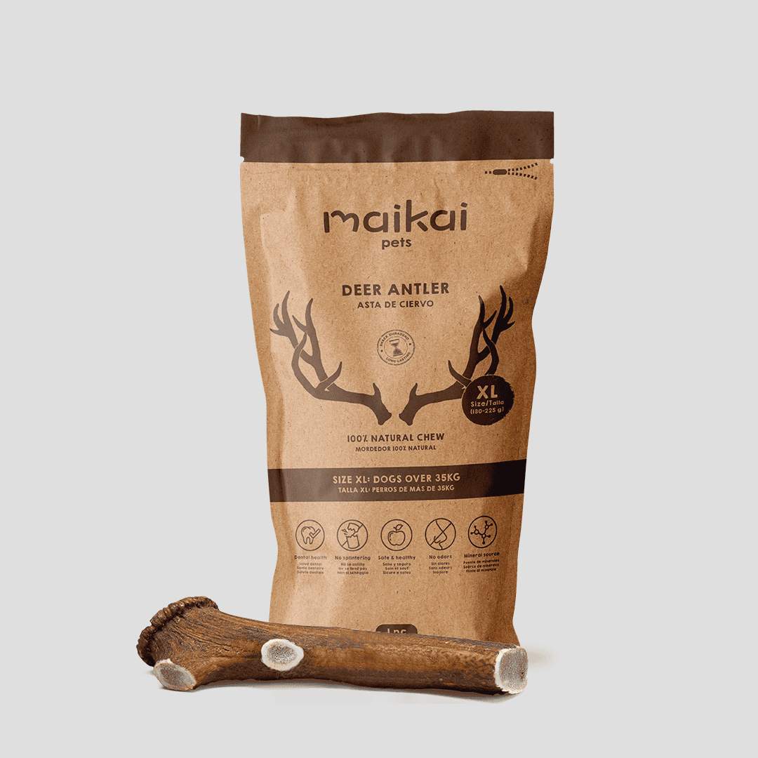 Mordedor natural de asta de ciervo para perros XL – juguete duradero que fortalece la dentadura y mantiene entretenida a tu mascota