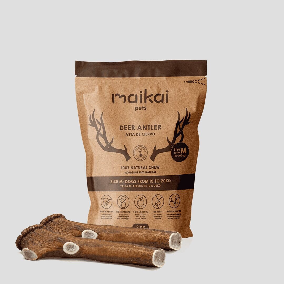 Mordedores naturales de asta de ciervo para perros tamaño M – pack de 2 unidades, fortalecen la dentadura y entretienen a tu mascota
