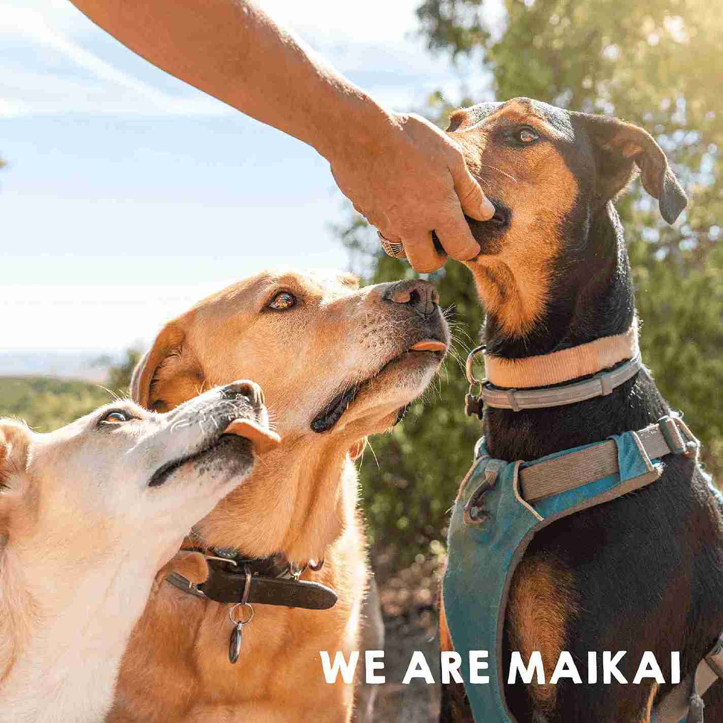 Natural veal lung snacks for dogs and cats