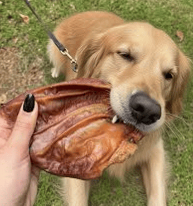 Orejas de cerdo naturales para perros de Maikai Pets, un snack sabroso y crujiente que favorece la limpieza dental y satisface el instinto de masticar.