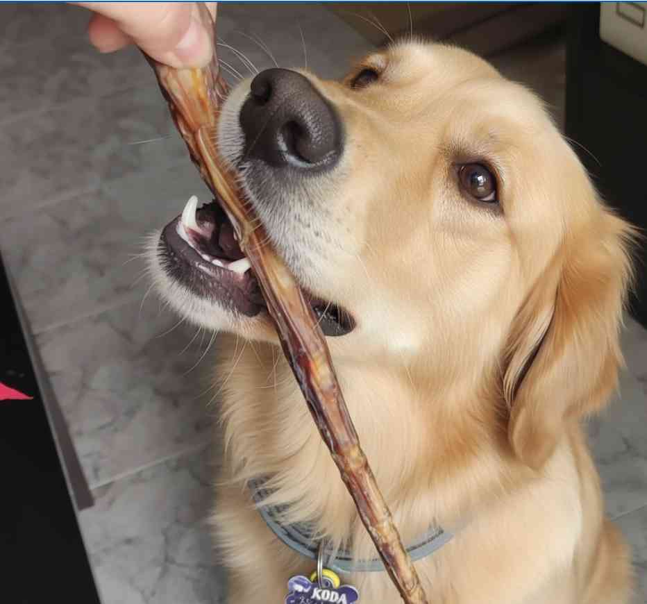 Rabo de toro natural para perros de Maikai Pets, un snack duradero que fortalece la mandíbula, limpia los dientes y ofrece una masticación entretenida.