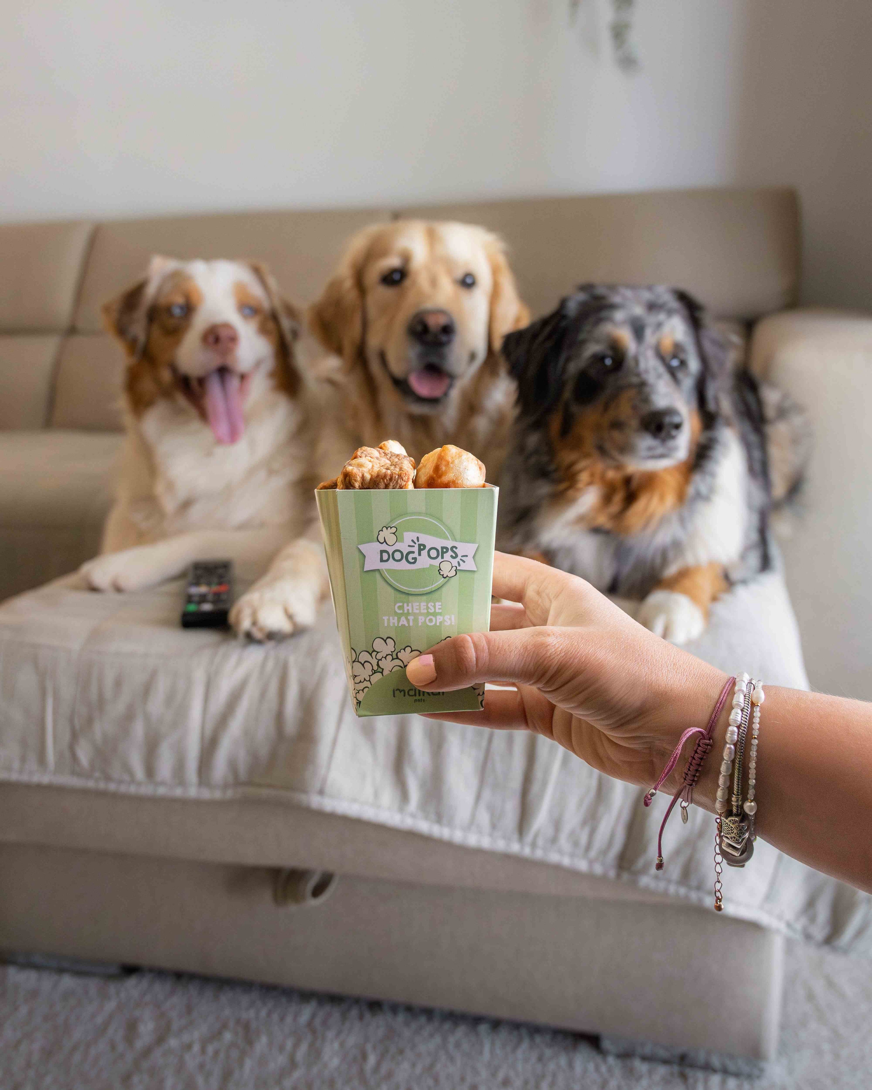 Perro saboreando las palomitas de queso del Himalaya de Maikai Pets, un snack natural y nutritivo que favorece la salud dental y aporta proteínas.
