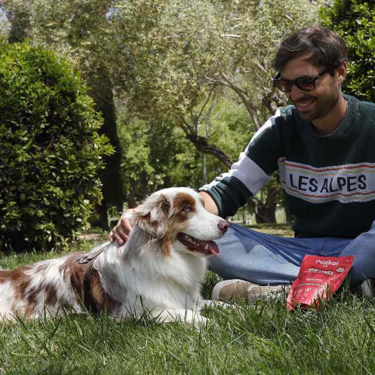 Snacks naturales de pulmones de ternera para perros de Maikai Pets, una recompensa sabrosa y nutritiva que apoya una dieta equilibrada y saludable.
