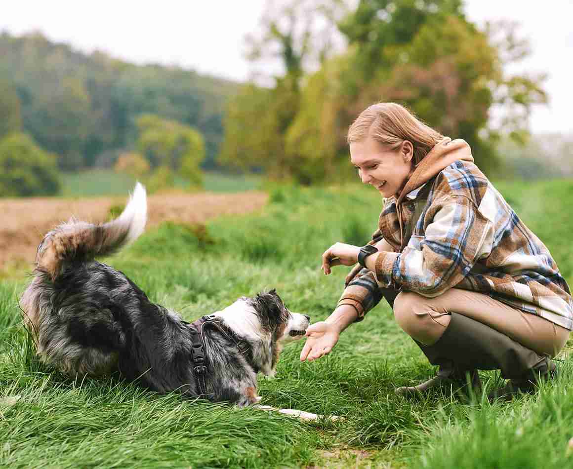 Sostenibilidad Maikai Pets – compromiso ecológico con productos naturales para perros y gatos y envases reciclables