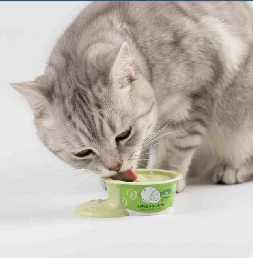 Pack de 6 yogures y helados naturales funcionales sin lactosa para gatos de Maikai Pets, un snack saludable y refrescante que aporta nutrientes y cuida la digestión felina.