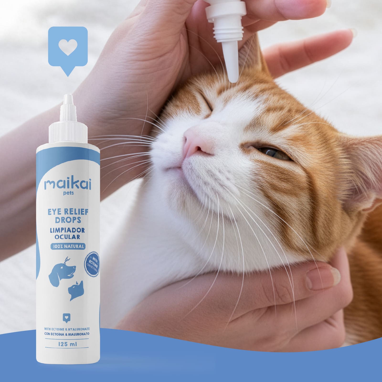 Aplicación del limpiador ocular Maikai Pets en un gato con ojos sensibles.