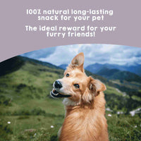 Natural bully stick tendon chew for dogs