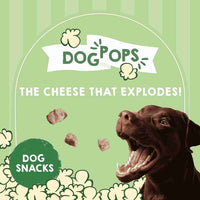 Natural Himalayan cheese chew for dogs