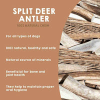 Split deer antler chew for dogs.