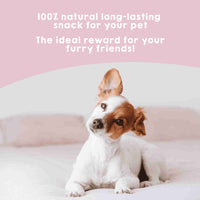 Natural chew pig ears for dogs
