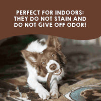 Whole deer antler chews for dogs