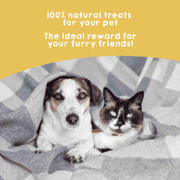 Natural chicken strip treats for dogs and cats