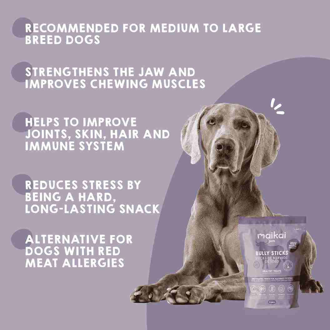 Natural dehydrated bully stick chew for dogs