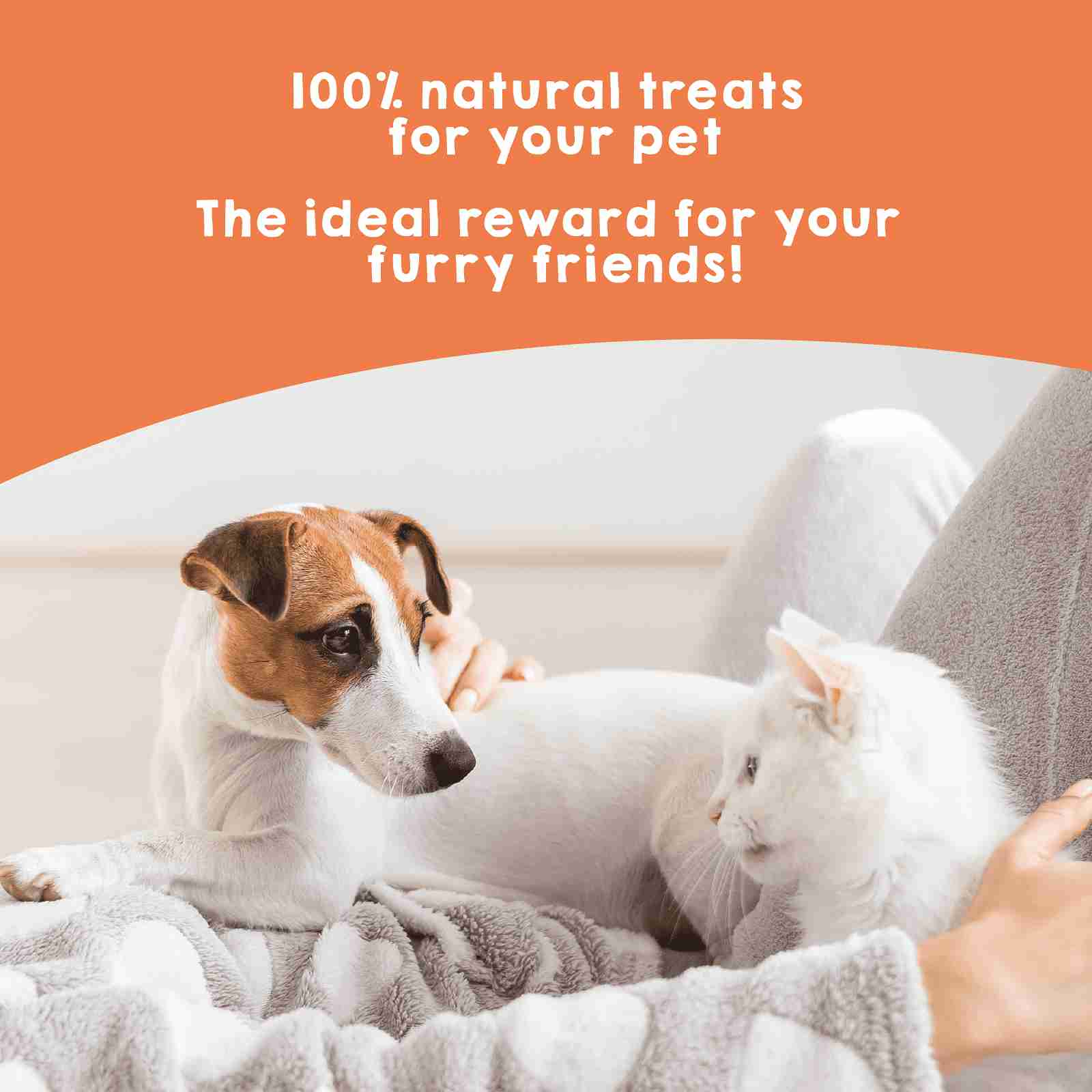 Natural dehydrated green-lipped mussels for dogs and cats