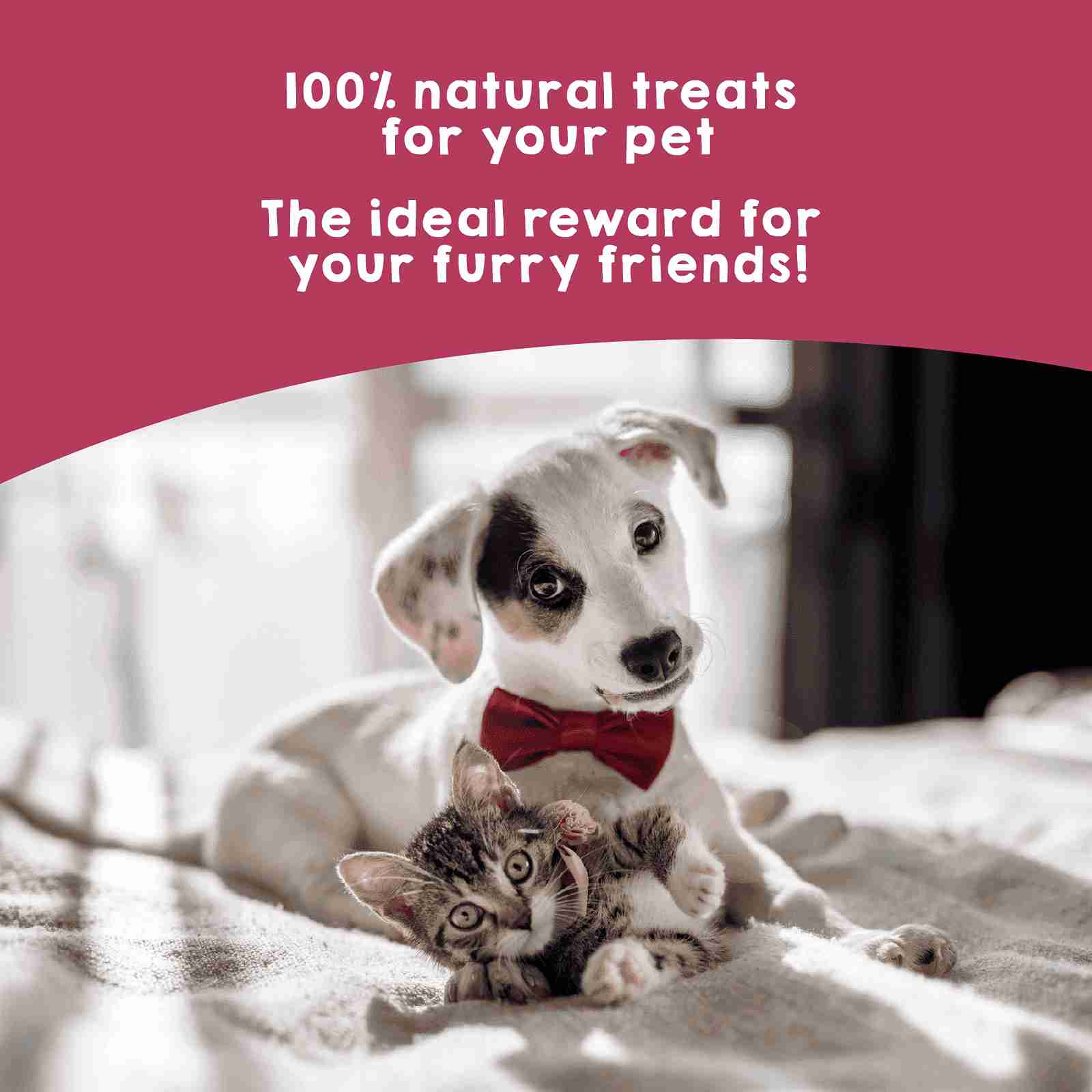 Natural dehydrated veal lung rewards for dogs and cats