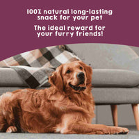 Natural dehydrated veal trachea chew for dogs
