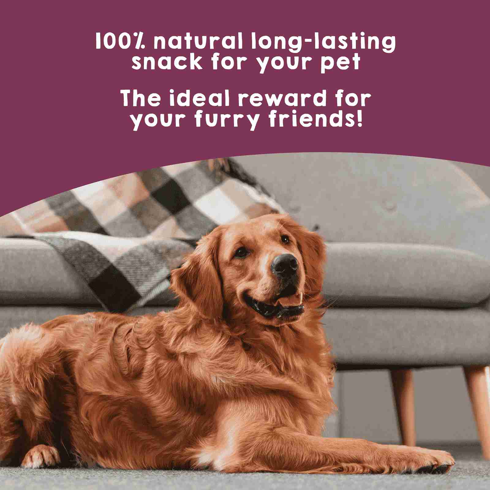 Natural dehydrated veal trachea chew for dogs