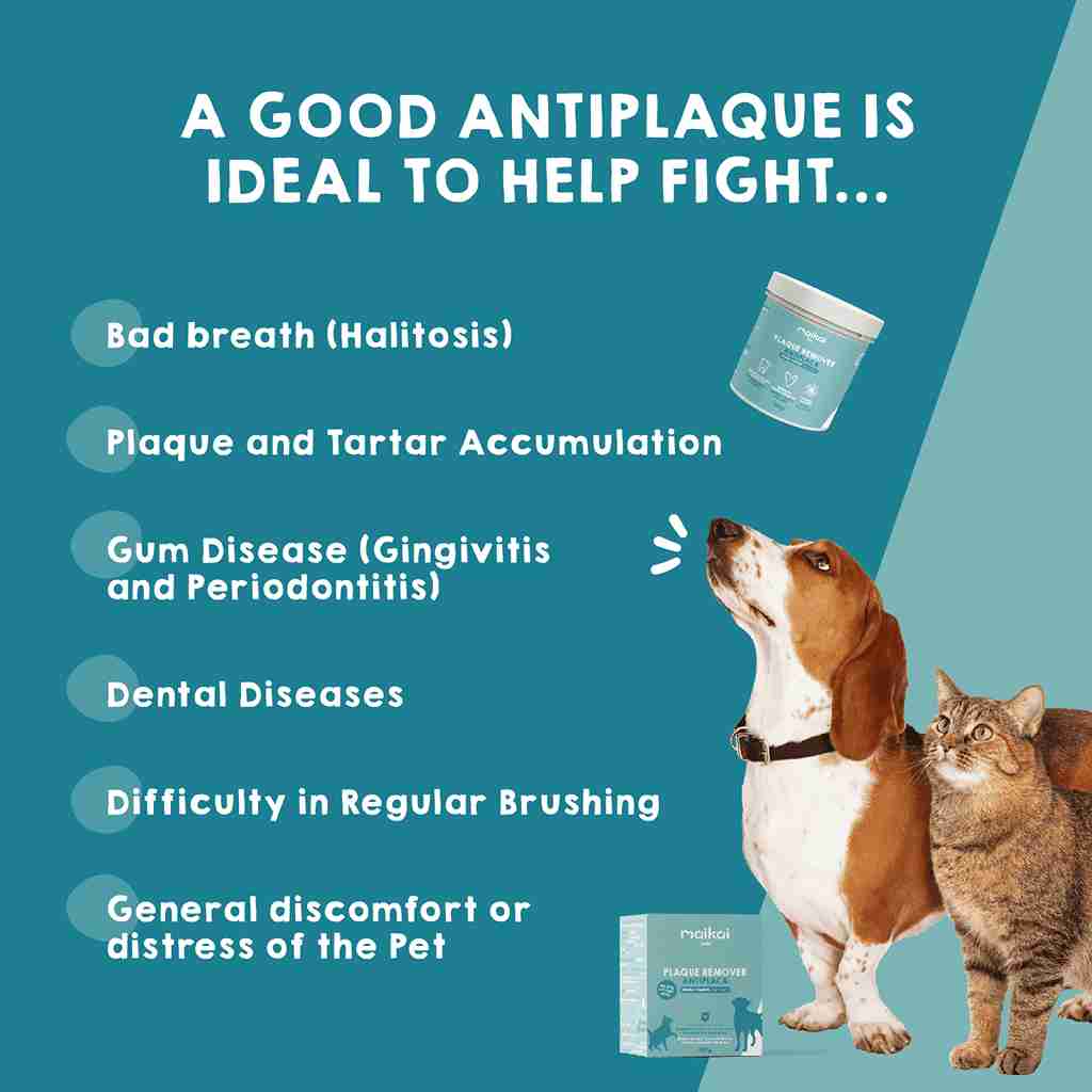 Dental cleaner for dogs, plaque remover