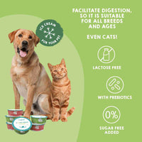 Ice creams for dogs and cats