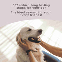 Natural dehydrated lamb feet chew snacks for dogs