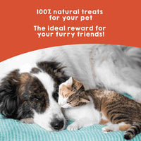 Natural dehydrated salmon roll treat for dogs and cat