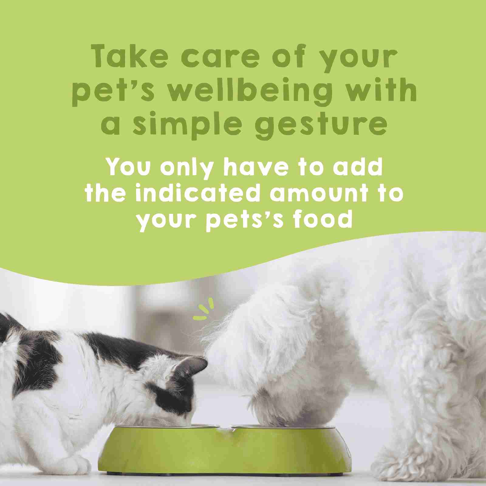 Natural probiotics for immune and digestive health in dogs and cats