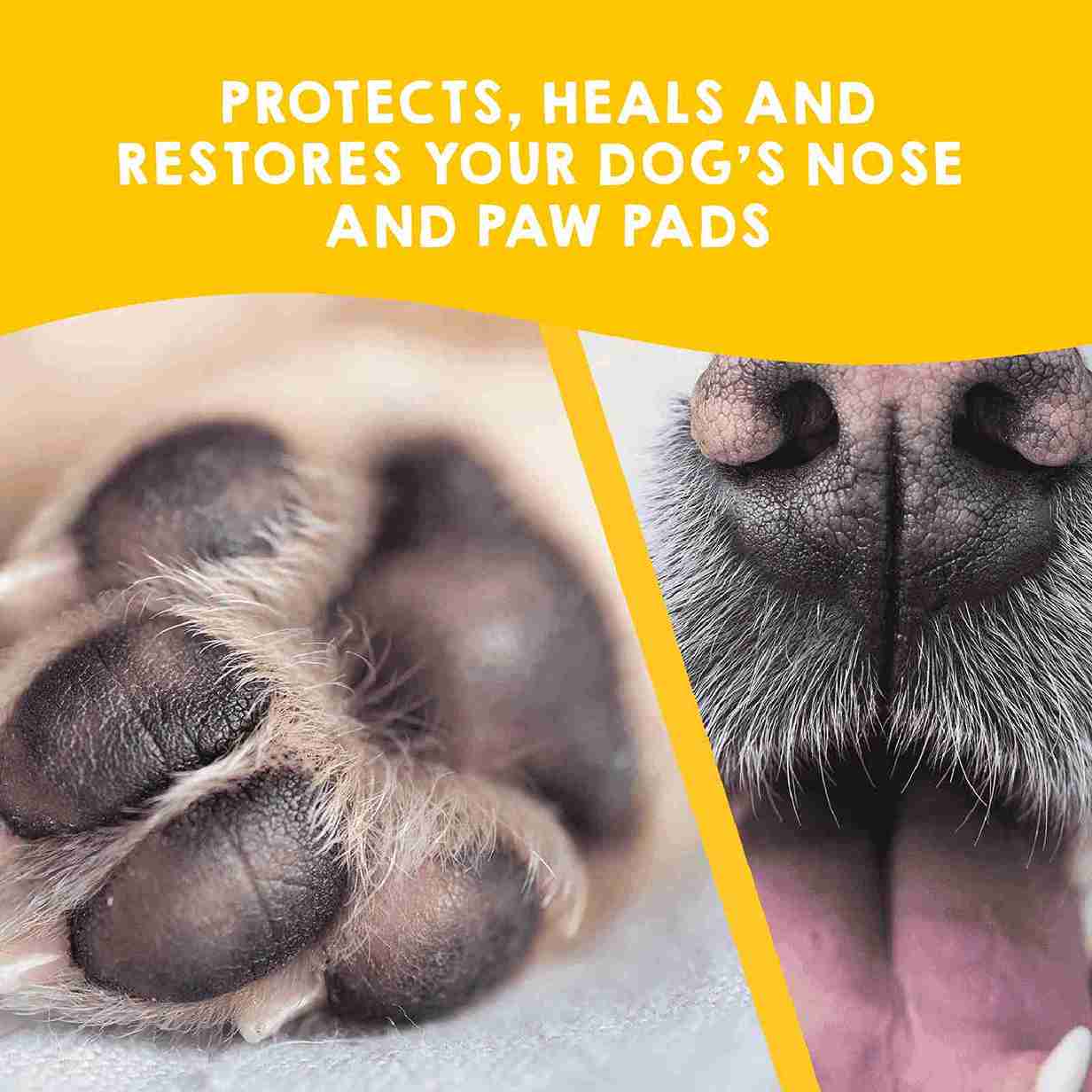 Protective balm for dogs’ paw pads and nose