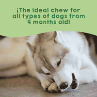 Himalayan cheese snack for dogs.