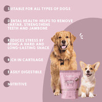 Natural pig ear snack for dogs