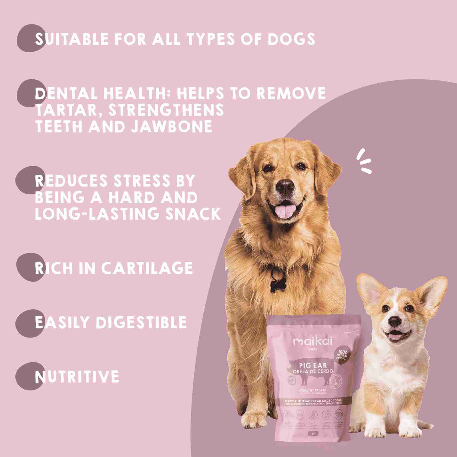 Natural pig ear snack for dogs