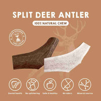 Split deer antlers for dogs.