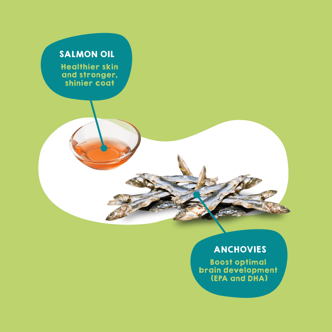 Treats with anchovies and salmon oil for dogs and cats.