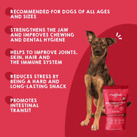Natural veal tendon snacks for dogs