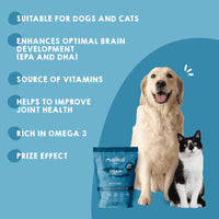 Natural anchovy snacks for dogs and cats