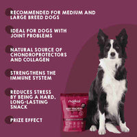 Natural beef trachea chew snack for dogs