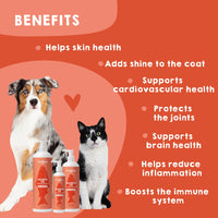 Health benefits of salmon oil for dogs and cats