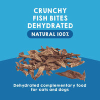 Crunchy fish bites for dogs and cats as treats